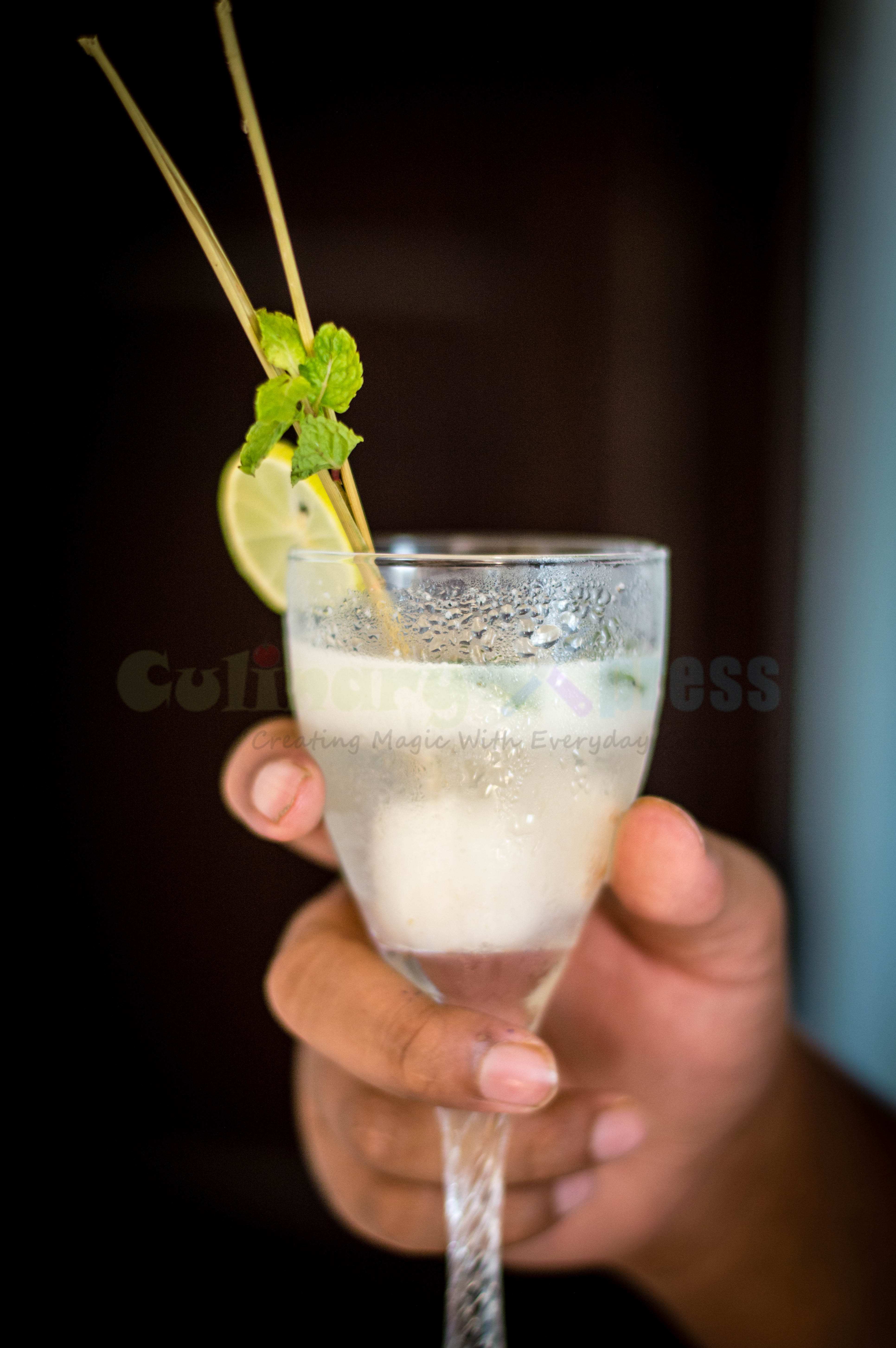 Lychee Mojito-39